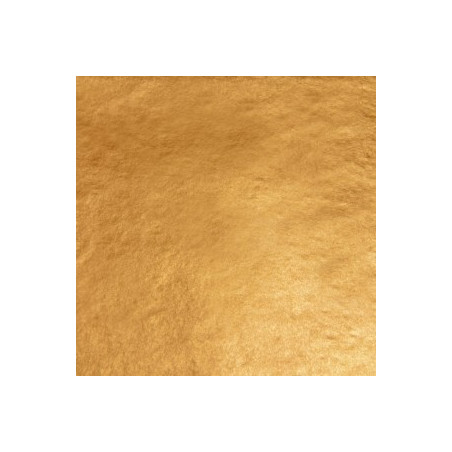 23 karat antyczne/florin th14