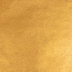 23 3/4 karat pomarańczowe th11 