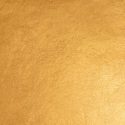 23 karat żółte ciemne th14