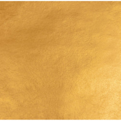 23 1/2 karat platynowe luźne th18